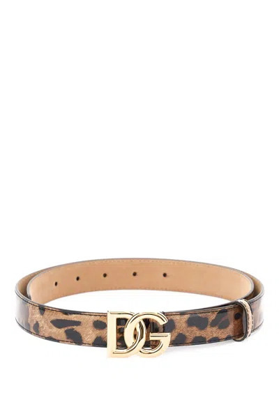 Dolce & Gabbana Dg Logo Belt In Brown