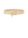 Dolce & Gabbana Dg Charm Belt In Neutrals