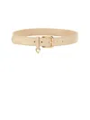 Dolce & Gabbana Dg Logo Belt In Pink