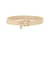 Dolce & Gabbana Dg Logo Belt In Pink