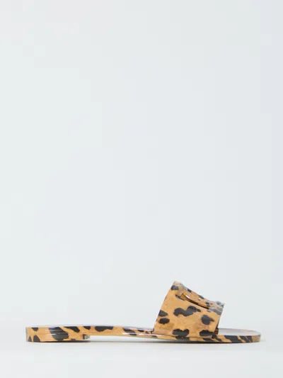 Dolce & Gabbana Dg Logo Flat Sandals In Brown