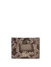 Dolce & Gabbana Snake Dg Cardholder In Neutrals
