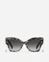 Dolce & Gabbana Dg Logo Plaque Sunglasses In Black Lace