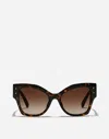 Dolce & Gabbana Dg Logo Plaque Sunglasses In Havana