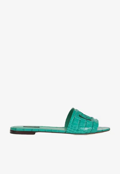 Dolce & Gabbana Dg Millenials Crocodile Leather Slides In Green