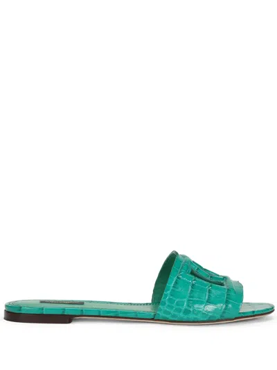 Dolce & Gabbana Dg Millenials Crocodile Leather Slides In Green