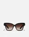 Dolce & Gabbana Dg Precious Sunglasses In Brown