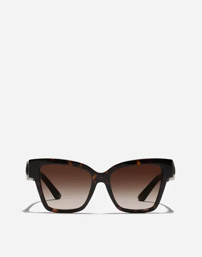 Dolce & Gabbana Dg Precious Sunglasses In Brown