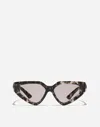 Dolce & Gabbana Dg Precious Sunglasses In Havana Brown Pearl