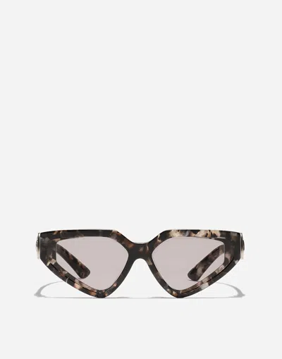 Dolce & Gabbana Dg Precious Sunglasses In Havana Brown Pearl
