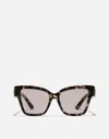 Dolce & Gabbana Dg Precious Sunglasses In Havana Brown Pearl