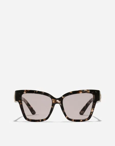 Dolce & Gabbana Dg Precious Sunglasses In Havana Brown Pearl