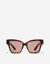 Dolce & Gabbana Dg Precious Sunglasses In Havana Pink Pearl