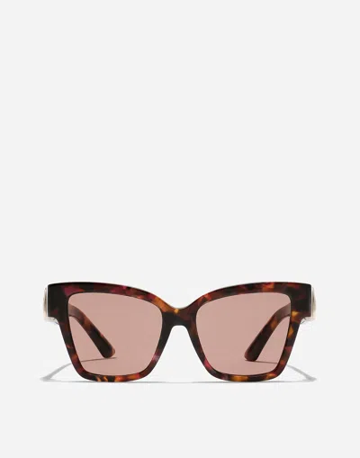 Dolce & Gabbana Dg Precious Sunglasses In Havana Pink Pearl