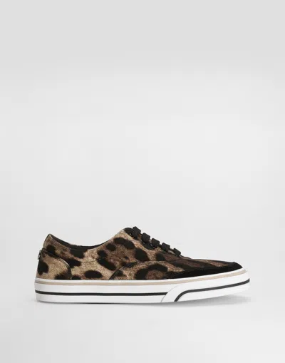 Dolce & Gabbana Dg Sailing Sneakers In Printed Canvas In Animal Print