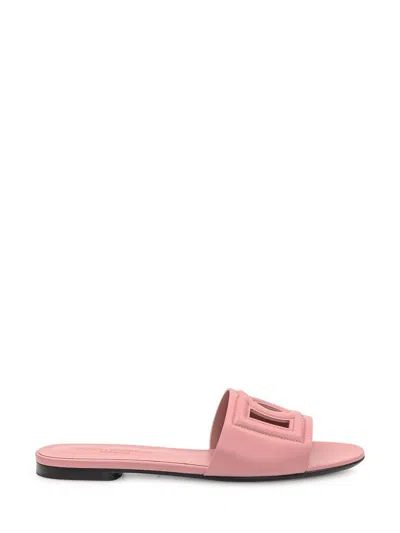 Dolce & Gabbana Dg Sandalwood In Pink