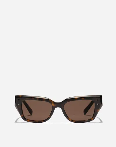 Dolce & Gabbana Dg Sharped  Sunglasses In Brown