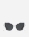 Dolce & Gabbana Dg Sharped  Sunglasses In White