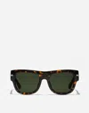 Dolce & Gabbana Dg Signature Sunglasses In Havana