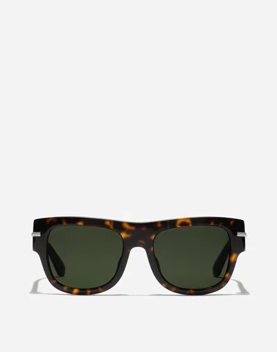 Dolce & Gabbana Dg Signature Sunglasses In Havana