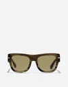 Dolce & Gabbana Dg Signature Sunglasses In Havana Green