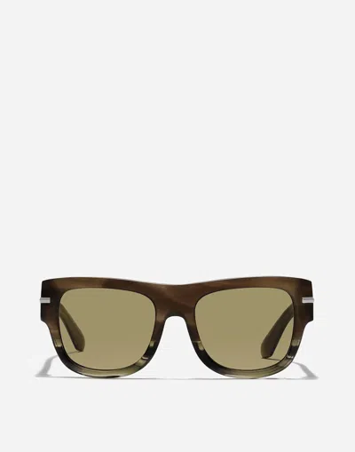 Dolce & Gabbana Dg Signature Sunglasses In Havana Green