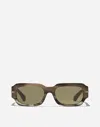 Dolce & Gabbana Dg Signature Sunglasses In Havana Green