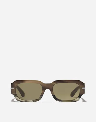 Dolce & Gabbana Dg Signature Sunglasses In Havana Green