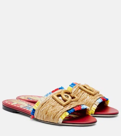 Dolce & Gabbana Dg Slides In Multi