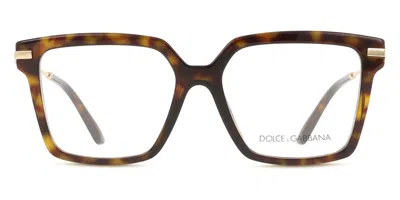 Dolce & Gabbana Dg3397 Women's Glasses, Tortoiseshell, Size 54