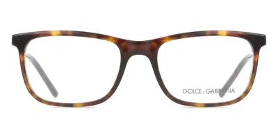 Dolce & Gabbana Dg3427 Men's Glasses, Tortoiseshell, Size 53