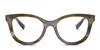 Dolce & Gabbana Dg3437 Multicolor/green In Multicolor,green