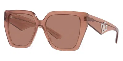 Pre-owned Dolce & Gabbana Dg4438 3411/3 Fleur Caramel Square Dark Brown Women's Sunglasses In Gray