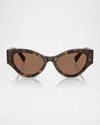 Dolce & Gabbana Dg4480f Lace Butterfly Sunglasses In Havana