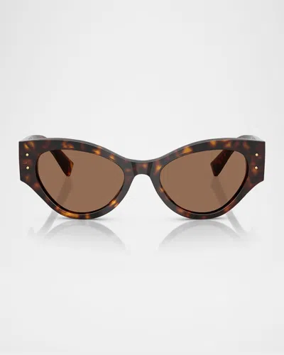 Dolce & Gabbana Dg4480f Lace Butterfly Sunglasses In Havana
