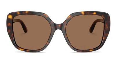 Dolce & Gabbana Dg4569 Tortoise In Brown