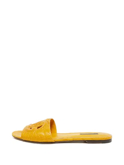 Pre-owned Dolce & Gabbana Dg-logo Croc-embossed Flat Sandals In Yellow
