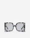 Dolce & Gabbana Square-frame Sunglasses In Black Lace