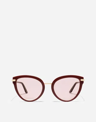 Dolce & Gabbana Dg4492 Butterfly Acetate Sunglasses In Bordeaux