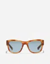 Dolce & Gabbana Dna Sunglasses In Brown