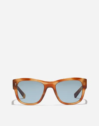 Dolce & Gabbana Dna Sunglasses In Brown
