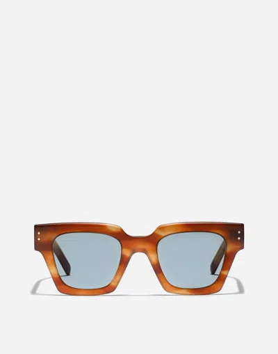 Dolce & Gabbana Dna Sunglasses In Brown