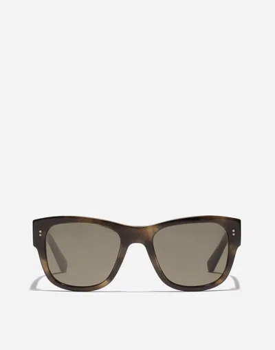 Dolce & Gabbana Dna Sunglasses In Green