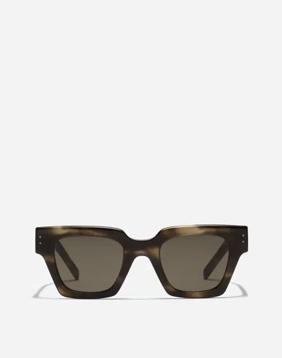 Dolce & Gabbana Dna Sunglasses In Green