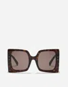 Dolce & Gabbana Dna Sunglasses In Havana