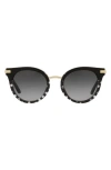 Dolce & Gabbana Dolce&gabbana 50mm Phantos Dna Sunglasses In Black Dots
