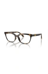 Dolce & Gabbana Dolce&gabbana 52mm Butterfly Optical Glasses In Multi