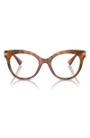 Dolce & Gabbana Eyewear In Havana