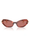 Dolce & Gabbana Dolce&gabbana 52mm Butterfly Sunglasses In Brown Havana