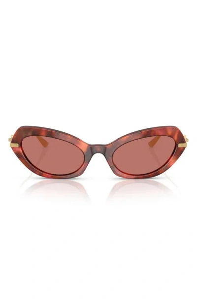 Dolce & Gabbana Dolce&gabbana 52mm Butterfly Sunglasses In Brown Havana